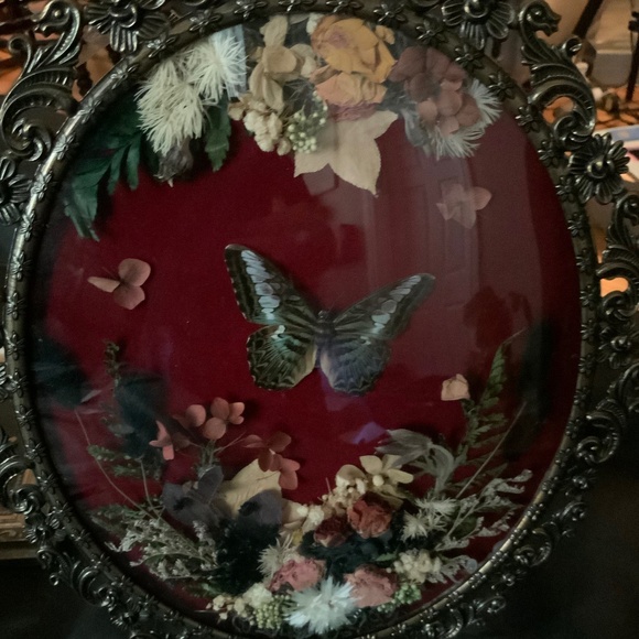 Custom handmade real framed butterfly - Picture 2 of 3